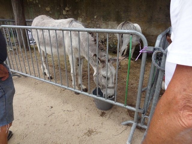 fete ane 2018 (29).JPG